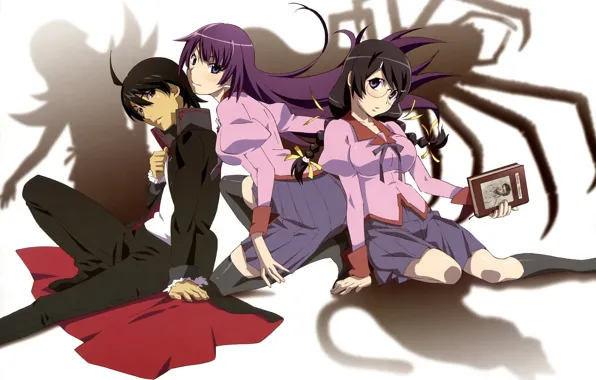 Девушки, аниме, арт, парень, Bakemonogatari