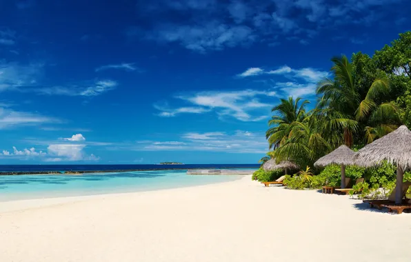 Картинка пляж, пальмы, океан