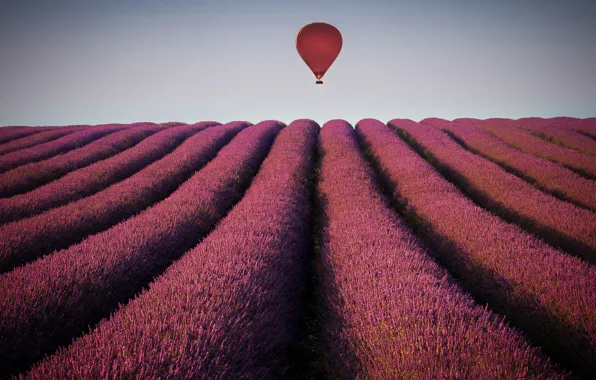 Картинка поле, небо, воздушный шар, горизонт, лаванда