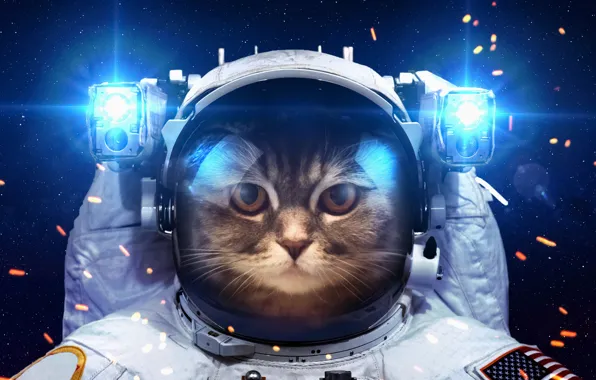 Картинка кот, космос, свет, юмор, космонавт, скафандр, фонарики
