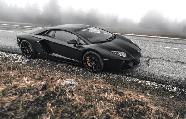 Lamborghini, Fog, Road, Supercar, Black, Aventador, LP700-4