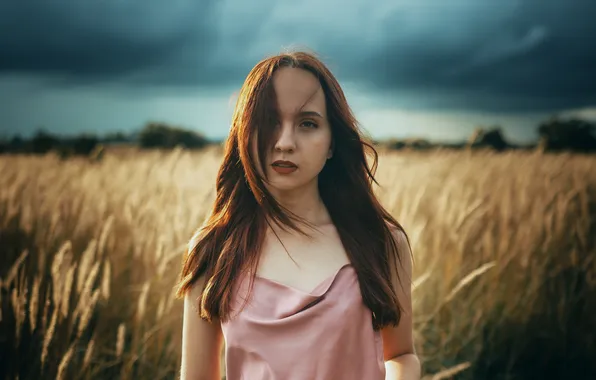 Поле, небо, девушка, поза, модель, колосья, красотка, model