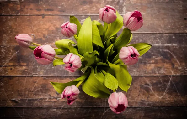 Букет, весна, тюльпаны, wood