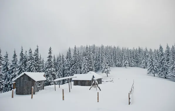 Зима, снег, деревья, landscape, nature, winter, snow, frozen