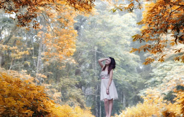 Картинка лес, девушка, деревья, радость, улыбка, Осень, платье