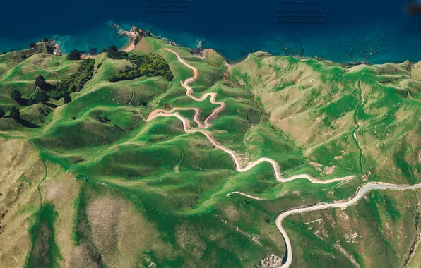 Дорога, деревья, берег, побережье, Новая Зеландия, New Zealand, вид сверху, Тасманово море