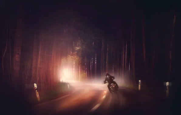 Картинка дорога, лес, туман, мотоцикл