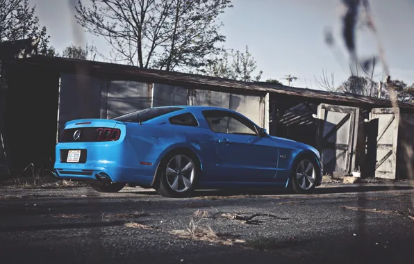 Mustang, Ford, Зад, Форд, Muscle, Мустанг, Car, Blue