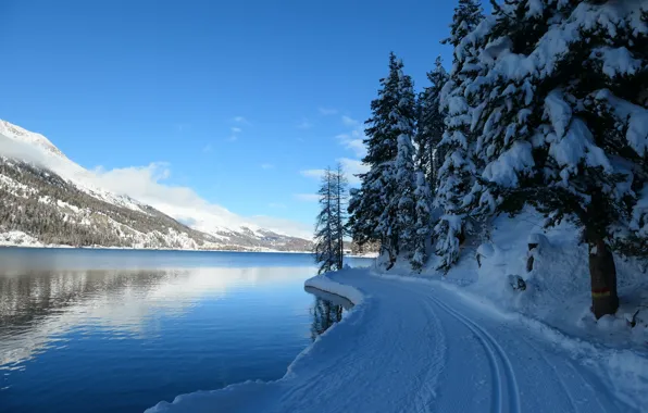 Картинка зима, дорога, снег, деревья, горы, озеро, Швейцария, ели