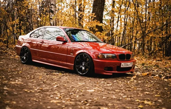 Картинка осень, лес, листья, BMW, красная, e46