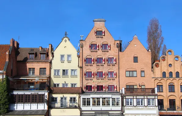 City, building, tenement houses
