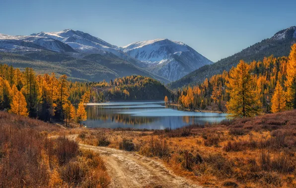Картинка дорога, осень, деревья, горы, озеро, Россия, Республика Алтай, Алтайские горы
