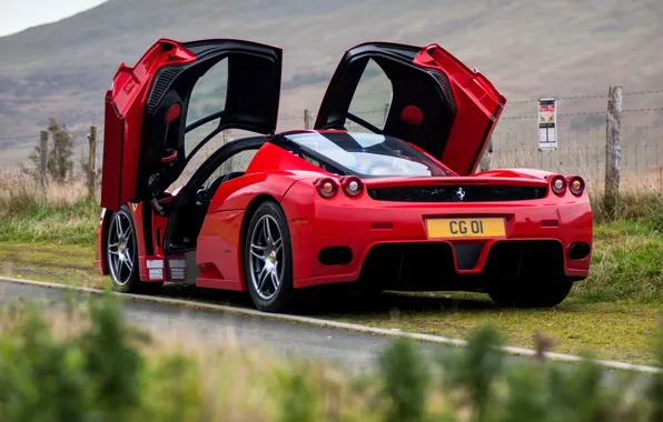 Ferrari, Ferrari Enzo, Enzo, rear view, butterfly doors