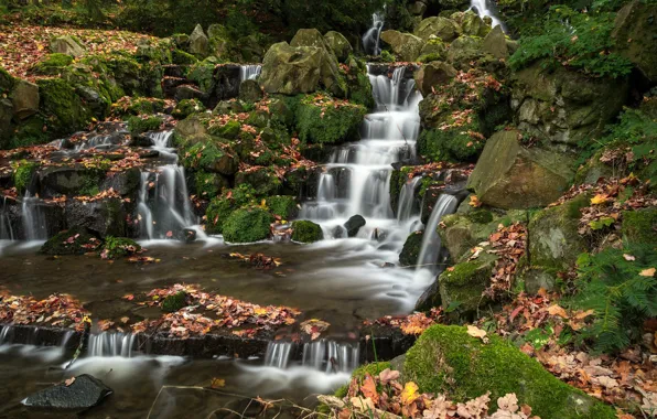 Осень, листья, ручей, водопад, Германия, каскад