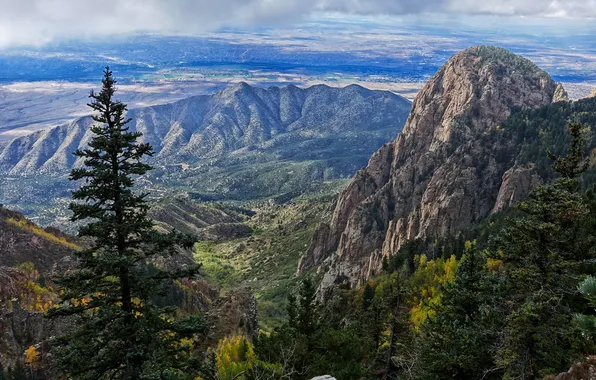 Деревья, горы, скалы, поля, долина, панорама, США, New Mexico