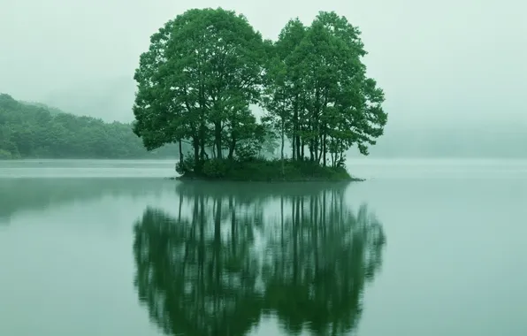 Отражение, остров, Деревья