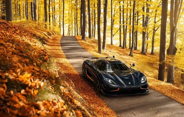 Картинка осень, фон, Koenigsegg, суперкар, передок, Agera, гиперкар, Агера