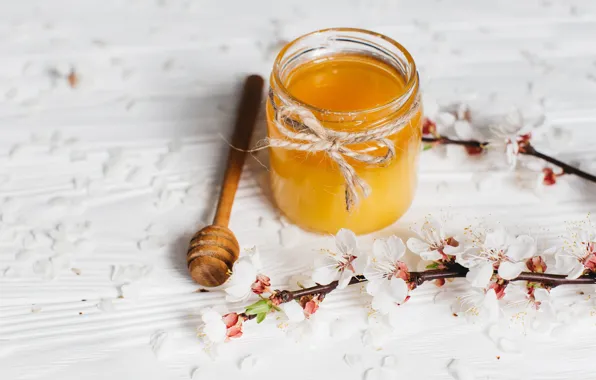 Картинка цветы, ветки, мед
