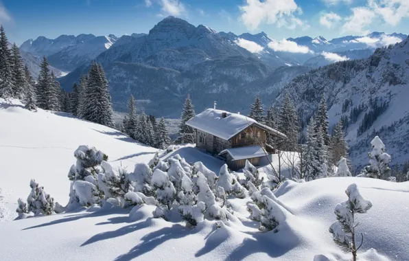 Зима, снег, горы, Австрия, ели, Альпы, сугробы, домик