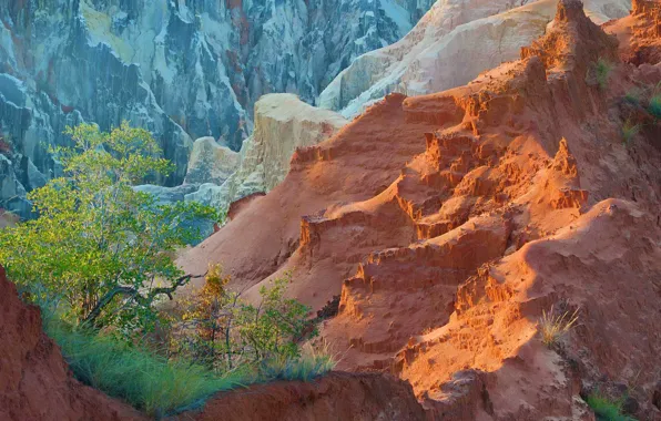 Осень, деревья, горы, скалы, Мадагаскар, Ankarafantsika National Park, Ankarokaroka canyon