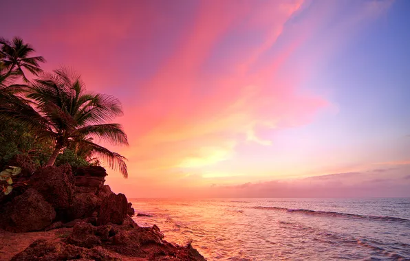Картинка beach, ocean, sunset, palm, Puerto Rico, Rincón
