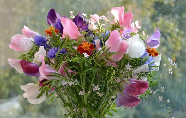 Картинка цветы, фон, красота, букет
