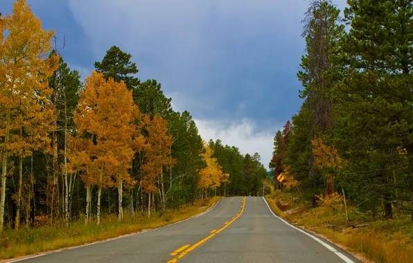 Картинка дорога, осень, лес, пейзаж