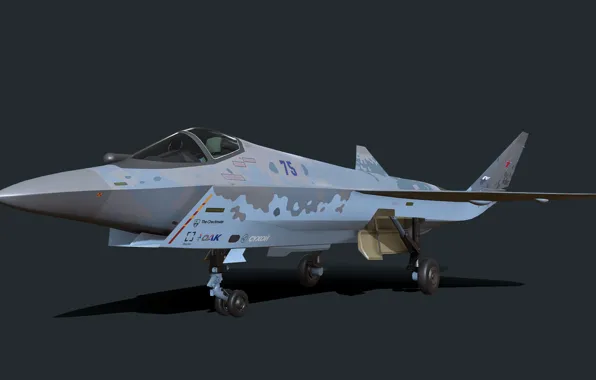 Россия, ОКБ П.О. Сухого, Су-75, Лёгкий многоцелевой истребитель