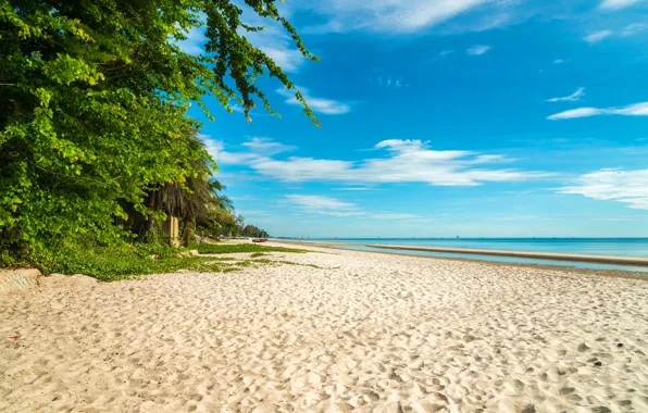 Песок, море, небо, облака, деревья, тропики, берег