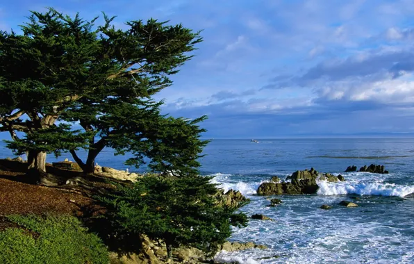 Картинка море, небо, облака, деревья, скалы, скамья