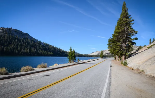Картинка дорога, разметка, Калифорния, США, California, Tenaya Lake, Yosemite National park