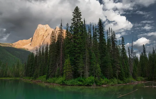 Картинка лес, пейзаж, горы, озеро, ели
