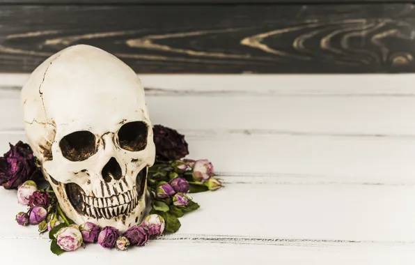 Картинка цветы, череп, Halloween, skull