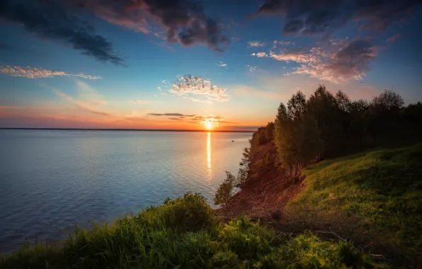 Лес, небо, трава, солнце, облака, деревья, закат, синева