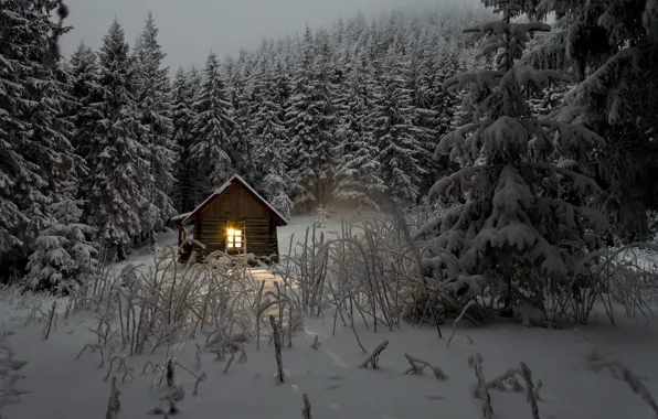 Картинка зима, лес, свет, снег, деревья, домик, сумерки