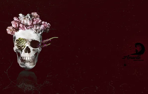 Logo, Dia de los Muertos, Amante