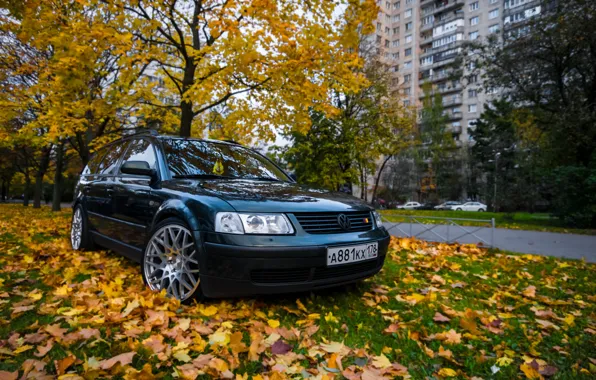 Passat, Rotiform, Vag, Blq