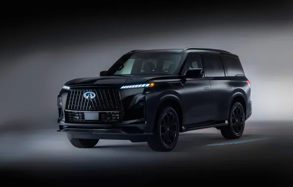 Infiniti, Внедорожник, Sport, SUV, Люкс, AWD, QX80, Luxe