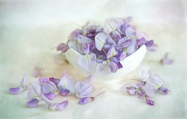 Цветы, фон, букет, лепестки, арт, живопись, сиреневые, вазочка