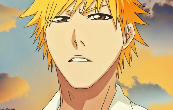 Лицо, парень, Bleach, Блич, Ичиго Куросаки