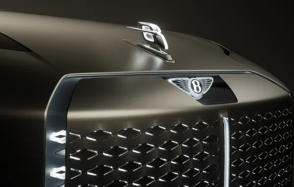 Concept, Bentley, концепт-кар, роскошь, люкс, luxury, электромобиль, electric car