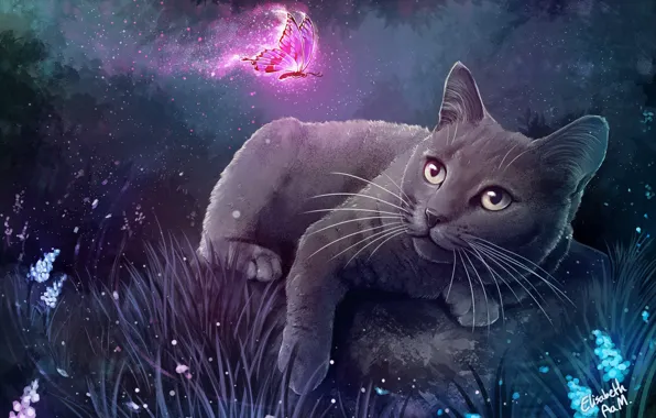 Ночь, Рисунок, Игра, Бабочка, Кошка, Лето, Кот, Арт