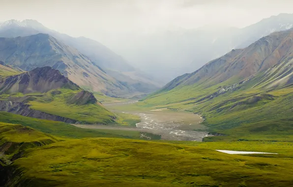 USA, Alaska, United States, United States of America, Green Hills of Home, Denali Park