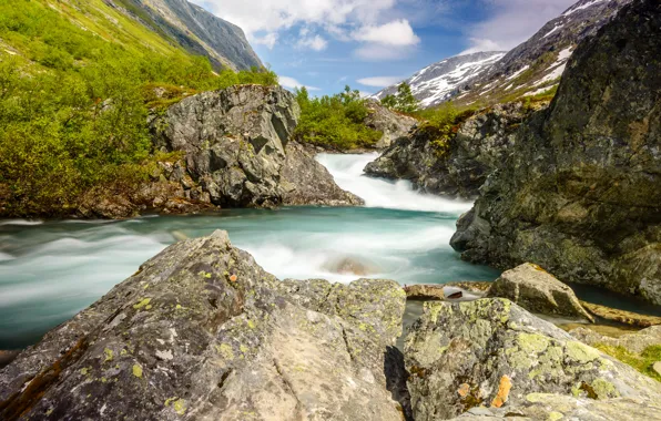 Картинка горы, ручей, камни, течение, Норвегия, ущелье, кусты