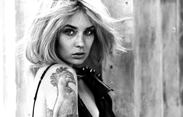 Взгляд, девушка, лицо, фон, волосы, татуировка, Scarlett