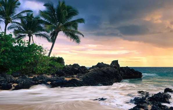 Beach, nature, hawaii