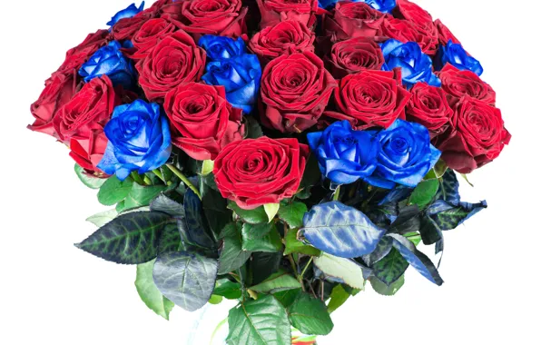 Розы, букет, красные, синие, Roses, Bouquets