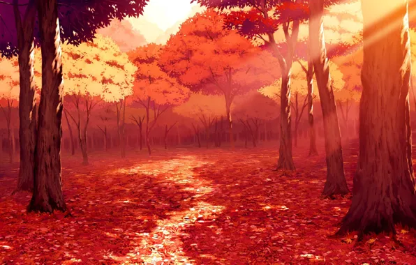 Картинка Тропинка, Деревья, Лес, Лучи, Осень.