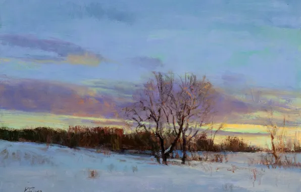 Картинка зима, небо, облака, свет, снег, пейзаж, закат, ветки
