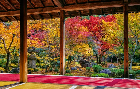 Картинка осень, листья, деревья, парк, colorful, nature, park, autumn